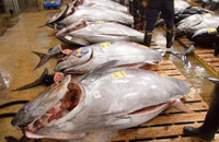 aff（あふ）2015年8月