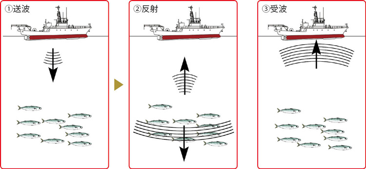 魚探機の基本的なしくみは、まず船底から特定の周波数の超音波を海底に向かって送波する（1）。その超音波が魚に当たると、海底に当たるよりも早く反射してくる（2）。その反射までの時間とエコーの強弱を受波する（3）。この受波の時間と音速から魚までの距離が分かり、エコーの強弱でどのくらい魚がいるかを判断する。これは「やまびこの原理」と同じ