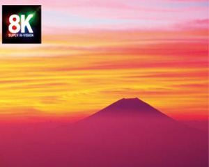 総務省／日本放送協会（NHK）