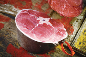 セリ場で実際に目にできるのは、切り落とされた尻尾と切り込みが入った腹の内側(一部)のみ。産地や漁法も手掛かりにしてマグロの味をイメージする