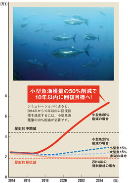 親魚資源量の将来予測