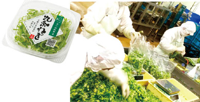 徹底した衛生管理