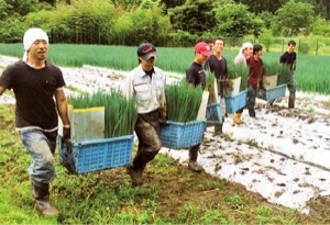 独立支援研修制度