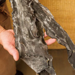 別格浜で収穫された利尻昆布を、昆布に最適な環境(湿度・温度)に整えた昆布蔵で、1年、2年、3年と寝かせ、うまみを磨き育てる手法。ある研究所で蔵囲昆布を調べたところ、もともとの昆布にはないさまざまなうまみ成分が抽出されたそうです