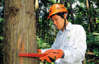 森林官の仕事