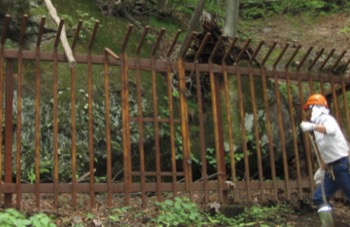 群馬県の天然記念物に指定されているウサギコウモリとヒカリゴケが生息する洞窟付近を巡視。貴重な動植物の保護管理を行う