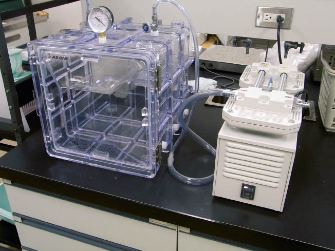 2.ブンタンと酵素液を密閉容器の中に入れ、減圧の状態にして液をブンタンに一気に染み込ませる