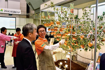 昨年、栃木県が紹介した試験場育成品種の梨「にっこり」