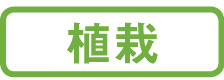 植栽