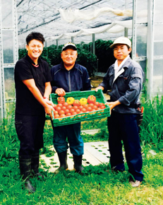 先端プロ実証研究で、水稲育苗施設の遊休期間を利用したパプリカの栽培を行っている