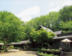 チーズハウスヤルゴイ