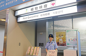 旅客ターミナルに設置された輸出植物検疫カウンター。旅行者が外国に持ち出す植物の検疫手続きや質問ができる