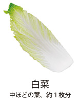 白菜 中ほどの葉、約1枚分