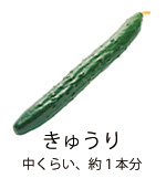 きゅうり 中くらい、約1本分 