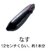 なす 12センチくらい、約1本分 