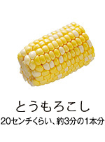 とうもろこし 20センチくらい、約3分の1本分 