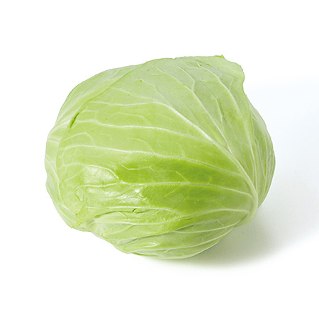 キャベツ