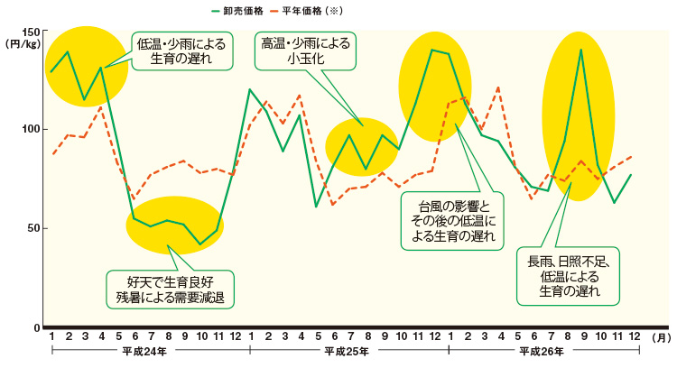 キャベツの卸売価格の推移