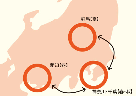 キャベツの産地リレー