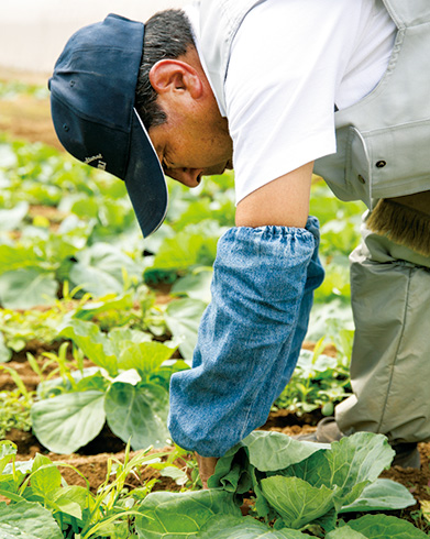 土壌管理に余念のない生産者の滑川茂夫さん