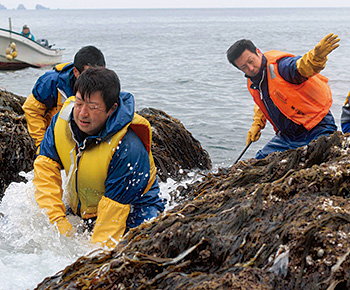 岩手県山田町の漁師グループ第八開運丸の出漁風景(2014年6月号)。「黒いダイヤ」と呼ばれるシュウリ貝やウニ、アワビなどを獲る