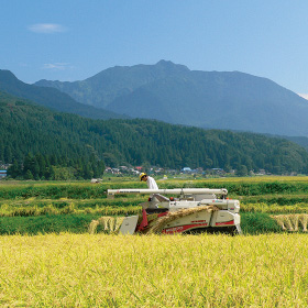 田んぼを次世代へ