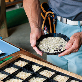 自社米の等級検査
