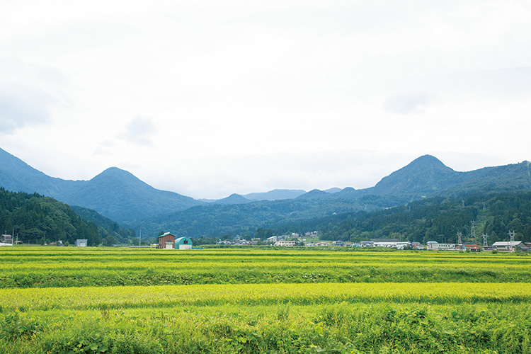 フォッサマグナの真上に酒蔵がある。右奥に突き出しているこぶがユーラシアプレートの岩盤の端、左奥のこぶは北米プレートの岩盤の端。「ここにしかないものです」と渡邉さん