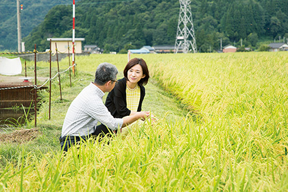 稲穂の状態を見ながら、「収穫期を判断するのは難しい。その見極めは感覚的なもの」という