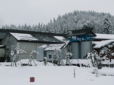 冬には2、3メートルの積雪がある根知谷。この雪が酒造り米作りに欠かせぬ豊かな伏流水を生む