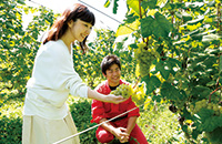 ご馳走、東西南北写真