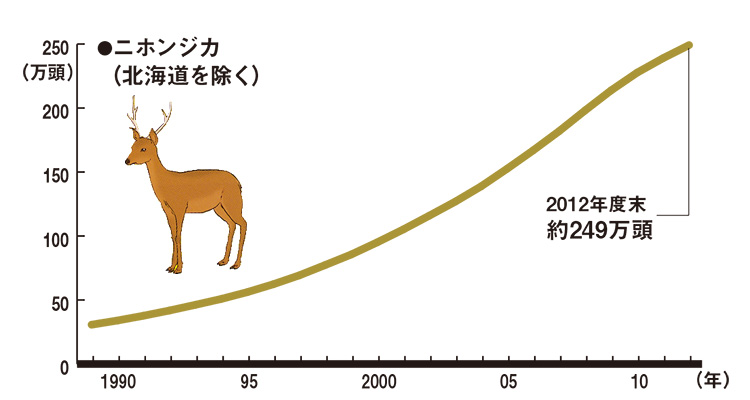 ●ニホンジカ(北海道を除く)