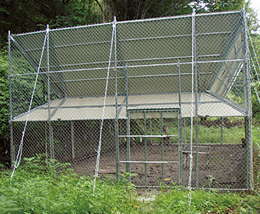 大型の捕獲おり