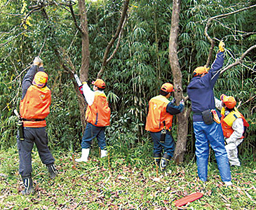 野生鳥獣が身を隠せるやぶや茂みを刈り取り