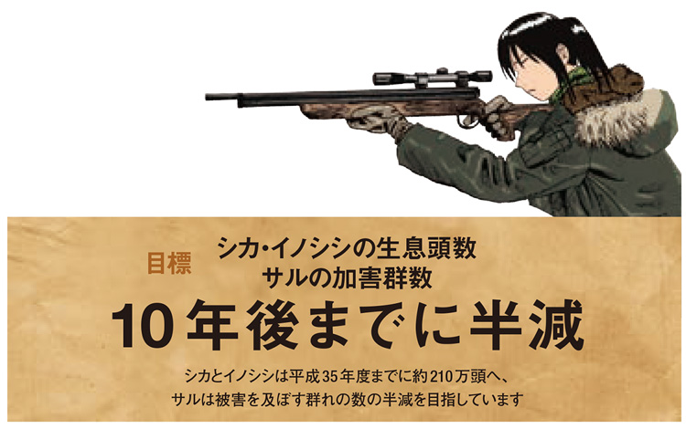 目標、シカ・イノシシの生息頭数サルの加害群数、10年後までに半減、シカとイノシシは平成35年度までに約210万頭へ、サルは被害を及ぼす群れの数の半減を目指しています