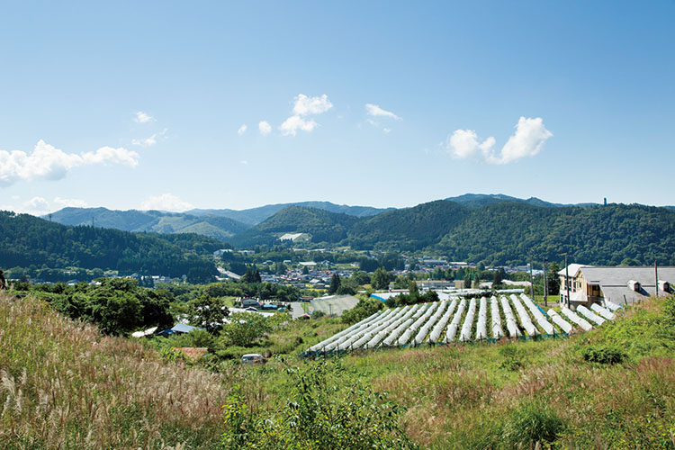 丘の上から見た大迫町。昼夜の温度差が大きく降雨量が少なく、傾斜地という地形はまさにワイン造りの理想ともいえる風土