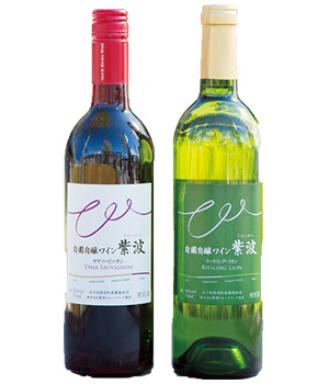 マルシェで売られている、「自園自醸ワイン紫波ヤマソービニオン」 （左・1,404円）、「自園自醸ワイン紫波リースリング・リオン」（右・1,620円）