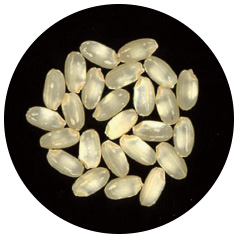 和みリゾット玄米