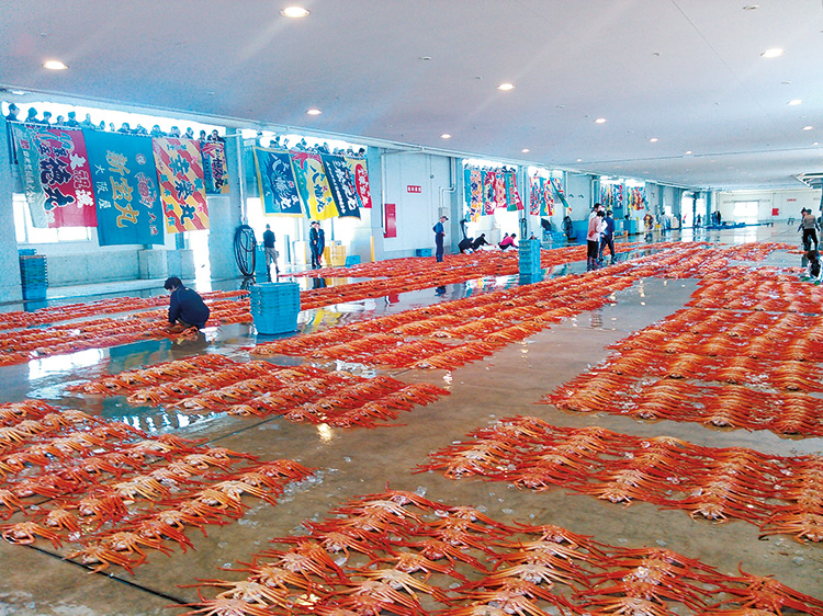 朝昼2回のセリが行われるのは全国でもめずらしい。セリ場には、衛生面や進行面を配慮して見学者通路を設置。見学者も大きく増えた