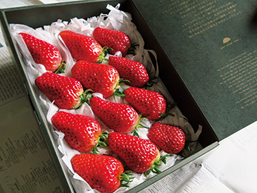 「わかば農法」という生産方法でハウス6棟で育てられている有機栽培イチゴ