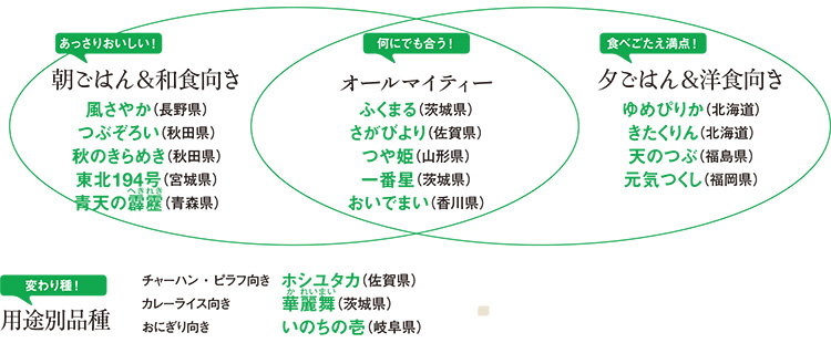 あっさりおいしい!朝ごはん&和食向き:風さやか(長野県)つぶぞろい(秋田県)秋のきらめき(秋田県)東北194号(宮城県)青天の霹靂(青森県)/何にでも合う!オールマイティー:ふくまる(茨城県)さがびより(佐賀県)つや姫(山形県)一番星(茨城県)おいでまい(香川県)/食べごたえ満点!夕ごはん&洋食向き:ゆめぴりか(北海道)きたくりん(北海道)天のつぶ(福島県)元気つくし(福岡県)/変わり種!用途別品種:チャーハン・ピラフ向き ホシユタカ(佐賀県)カレーライス向き 華麗舞(茨城県)おにぎり向き いのちの壱(岐阜県)