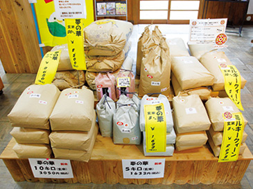 消費者から高い評価を受けている兵庫大地の会のブランド米。多様なニーズに応えられるよう、約20品種を生産