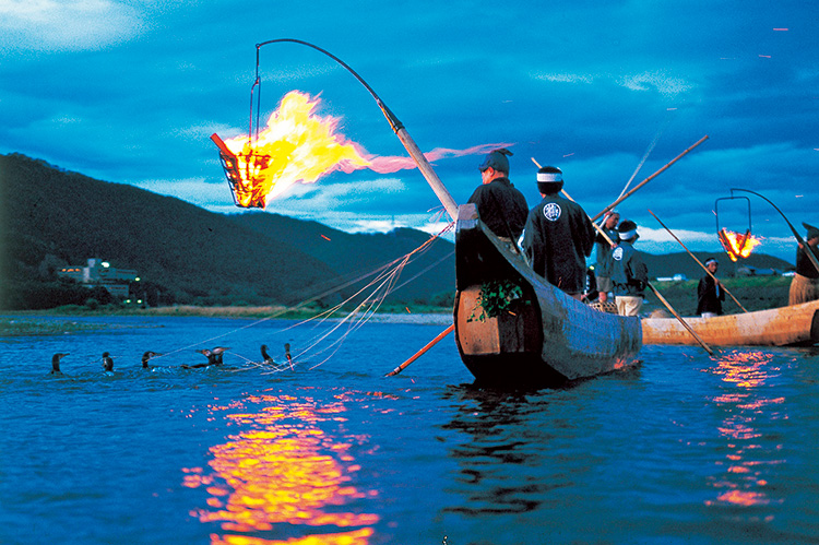 鵜が鮎を捕らえる伝統漁法「鵜飼い」は1300年もの歴史がある