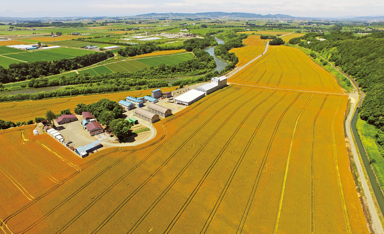 先代の勝部徳太郎氏が遺した「農業は大地に鍬(くわ)で彫る版画なり」という言葉そのままの美しい畑が広がる