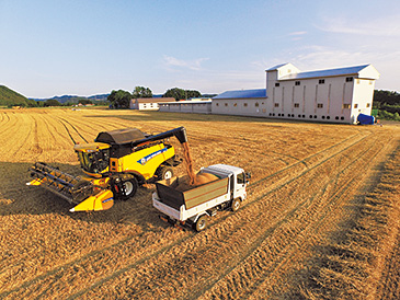 欧米製の大型農機具を活用し、一気に収穫を進める