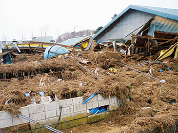 青森県おいらせ町二川目(ふたかわめ)地区沿岸部も甚大な津波被害を受けた