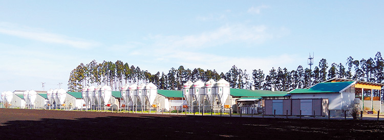 以前から確保していた海岸から2キロメートルほどの山間の土地に建設した養豚施設