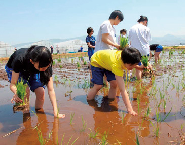 地元量販店と連携を行い、田植え・稲刈りツアーを企画