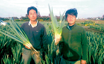 埼玉県深谷市の「つばさグリーンファーム深谷ねぎファンド」は、トラクター購入で活用。深谷ねぎのブランド力向上に寄与