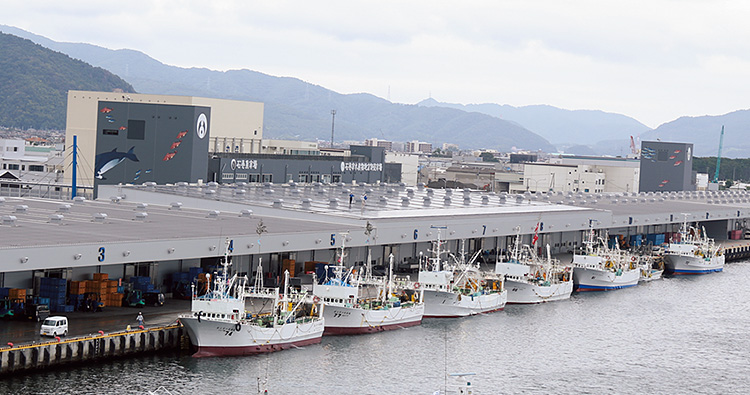 石巻市水産物地方卸売市場石巻売場